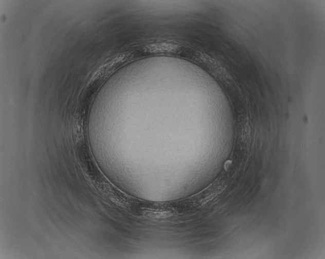 X0000081370743200702020205