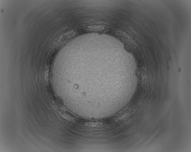 X0000081370745200702020205