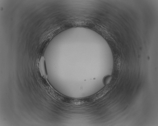 X0000081370746200702020205