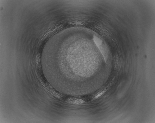 X0000081370747200702020205