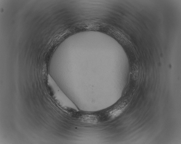 X0000081370748200702020205