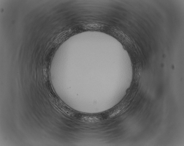 X0000081370749200702020205