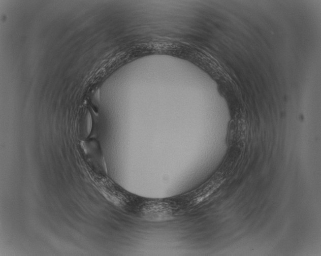 X0000081370750200702020205