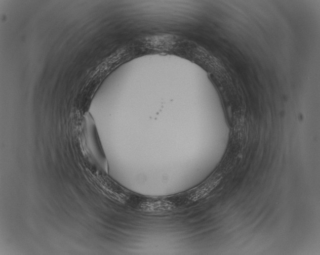 X0000081370752200702020205