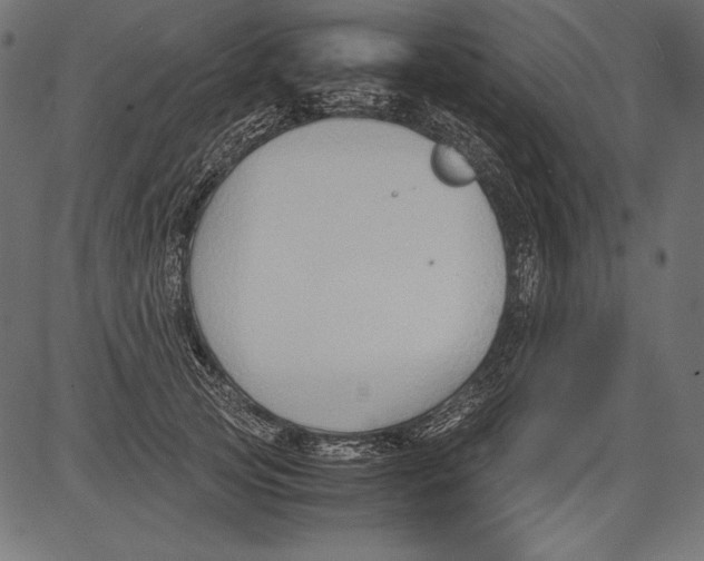 X0000081370753200702020205