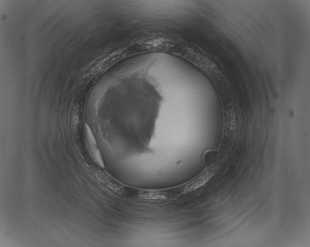 X0000081370754200702020205