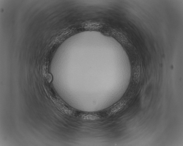 X0000081370755200702020205