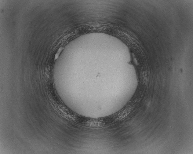 X0000081370756200702020205