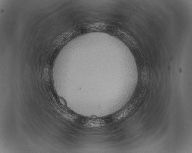 X0000081370757200702020205