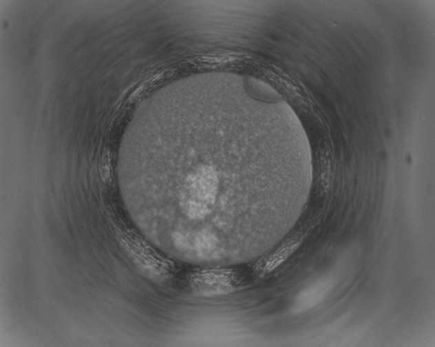 X0000081370758200702020205