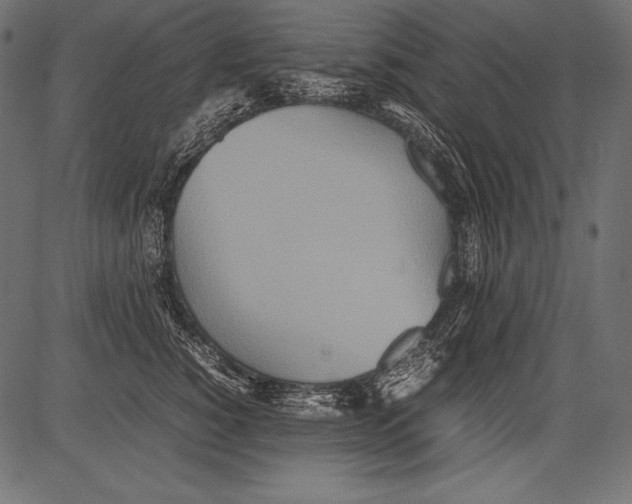 X0000081370760200702020205