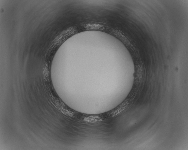 X0000081370761200702020205