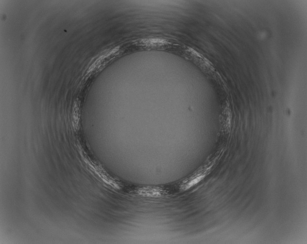 X0000081370762200702020205