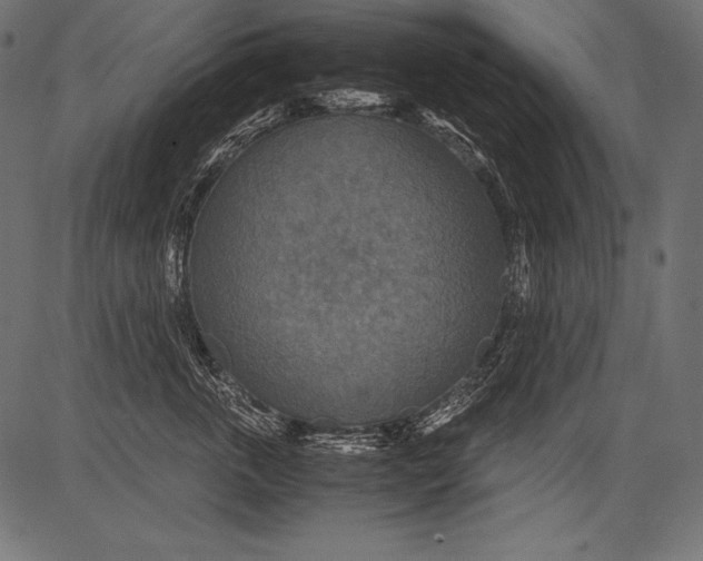 X0000081370763200702020205