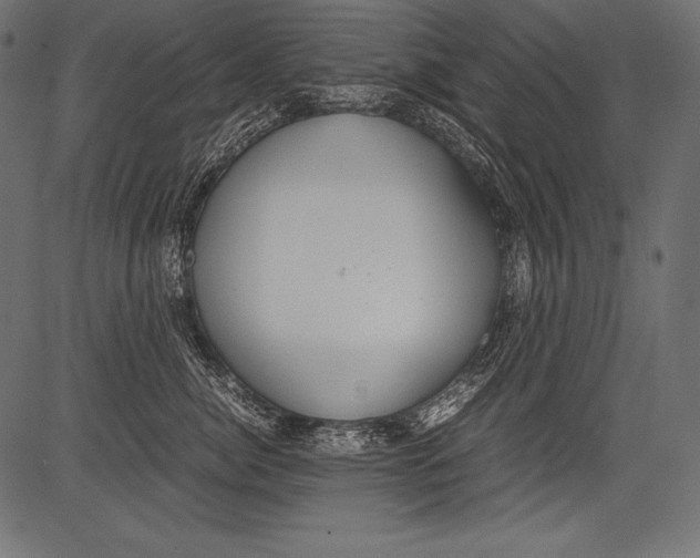 X0000081370764200702020205