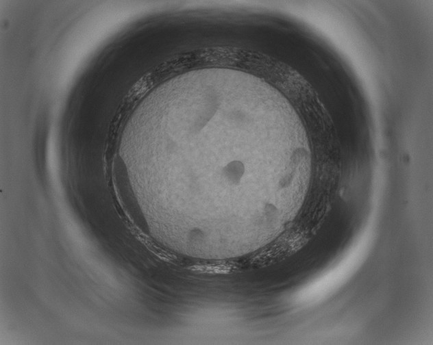 X0000081370765200702020205