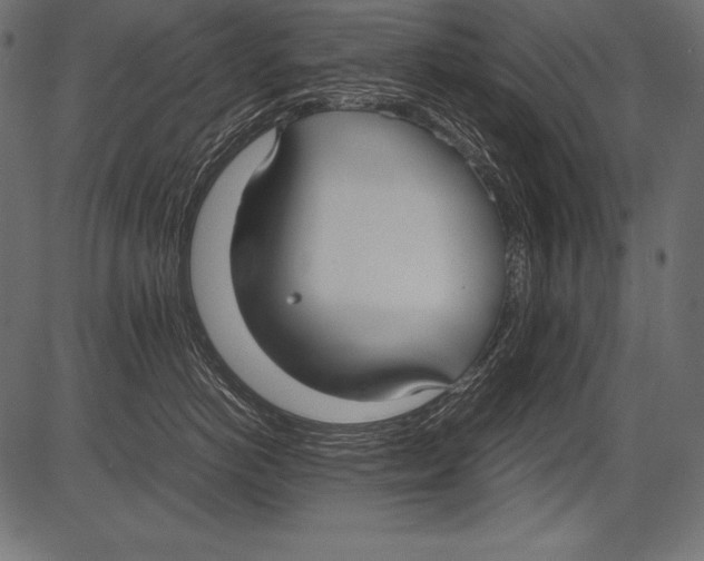 X0000081370766200702020205