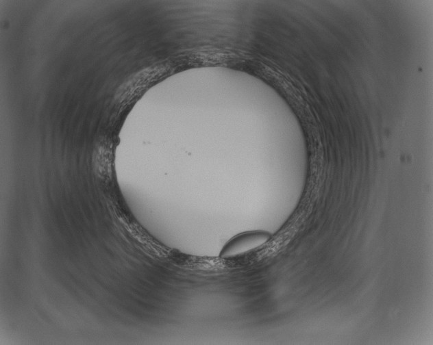 X0000081370768200702020205