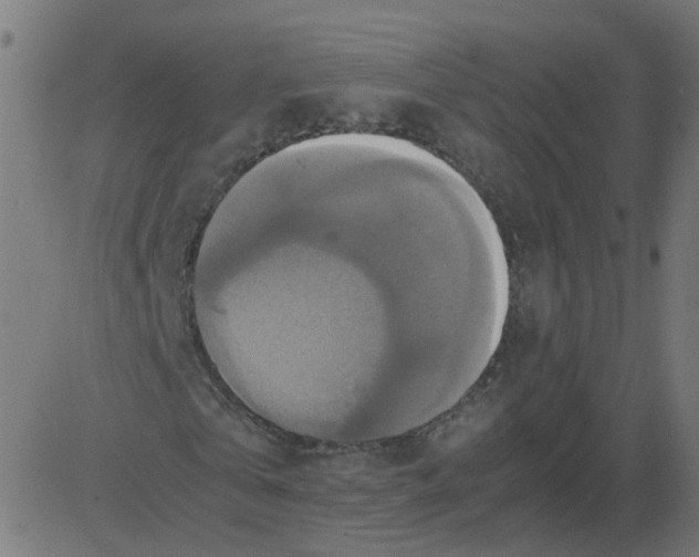 X0000081370769200702020204