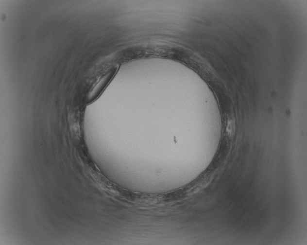 X0000081370771200702020204