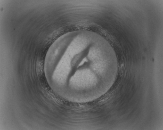 X0000081370772200702020204