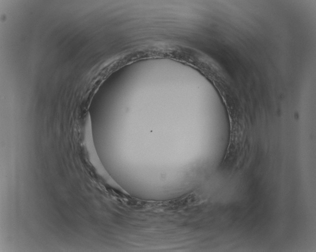 X0000081370773200702020204