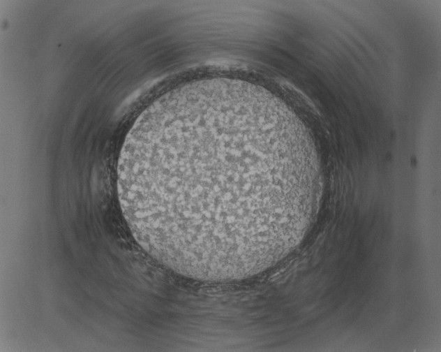 X0000081370776200702020204