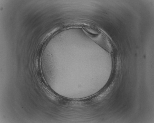 X0000081370777200702020204