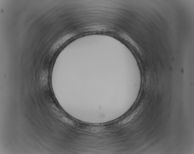 X0000081370778200702020204