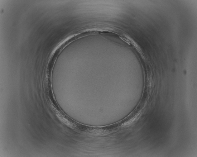 X0000081370779200702020204