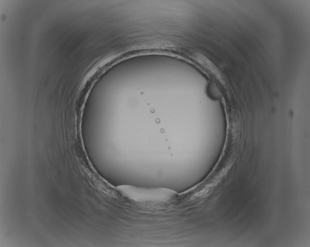 X0000081370781200702020204