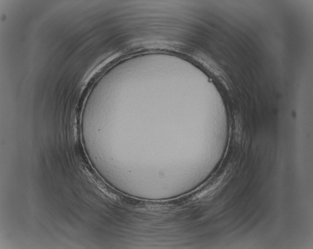 X0000081370782200702020204