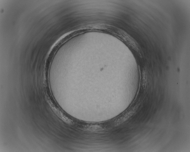 X0000081370784200702020204