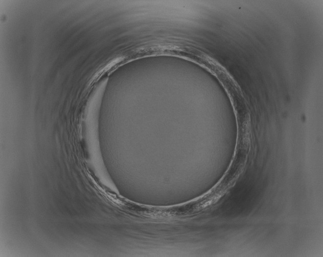 X0000081370785200702020204