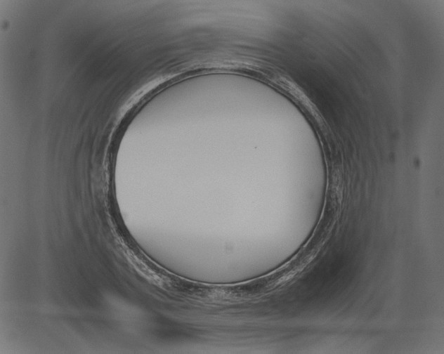 X0000081370787200702020204