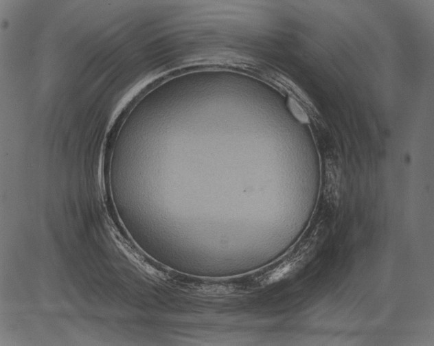 X0000081370788200702020204