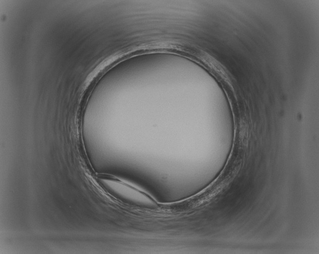 X0000081370789200702020204