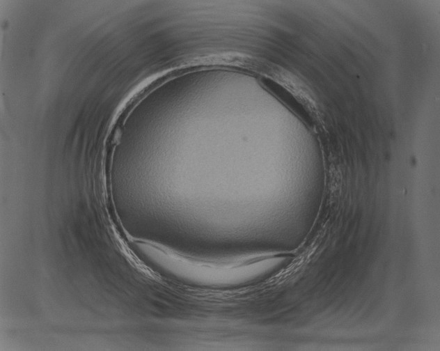 X0000081370792200702020204