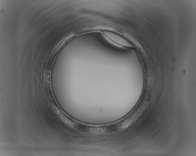 X0000081370793200702020204