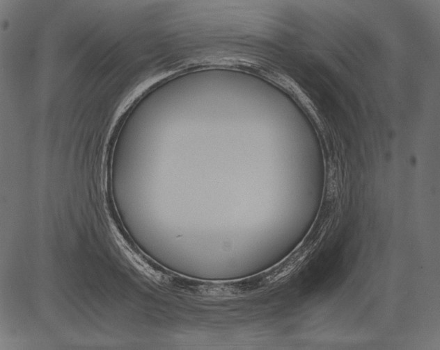 X0000081370795200702020204