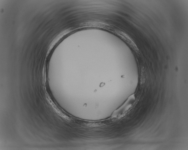 X0000081370796200702020204