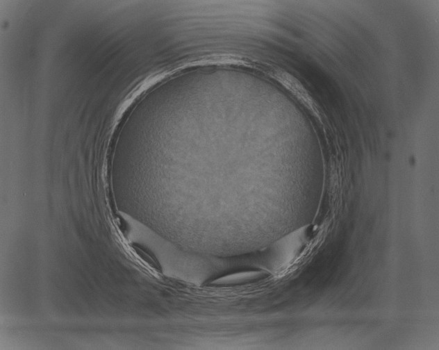 X0000081370797200702020204