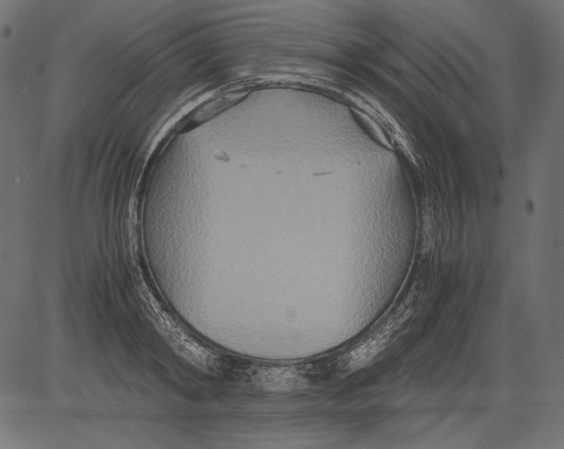 X0000081370798200702020204