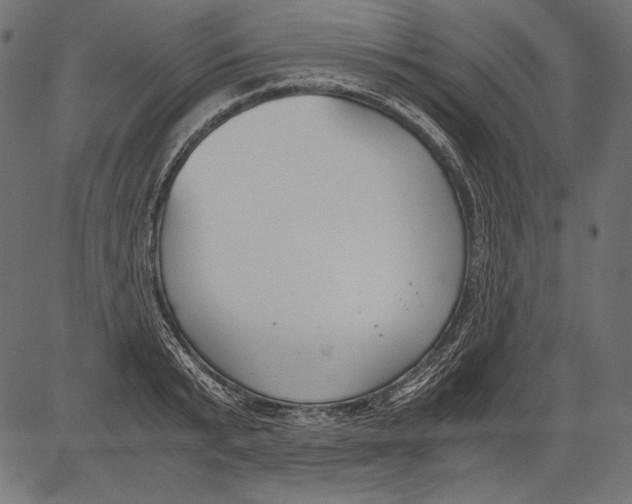 X0000081370799200702020204