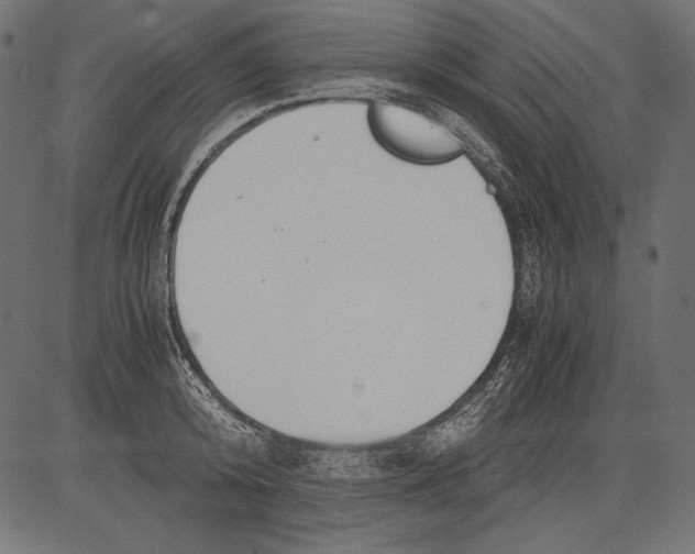 X0000081370800200702020204