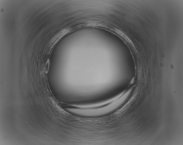 X0000081370801200702020204