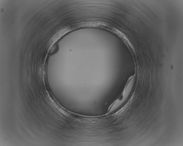 X0000081370802200702020204