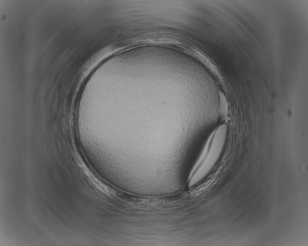 X0000081370803200702020204