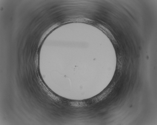 X0000081370804200702020204