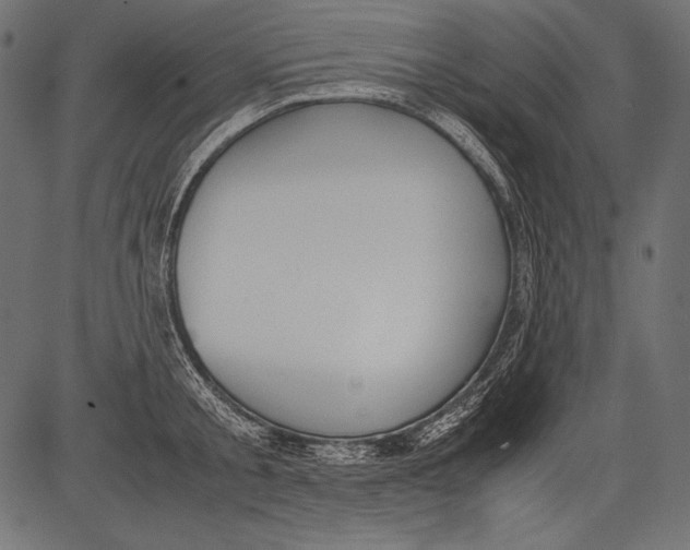 X0000081370805200702020204